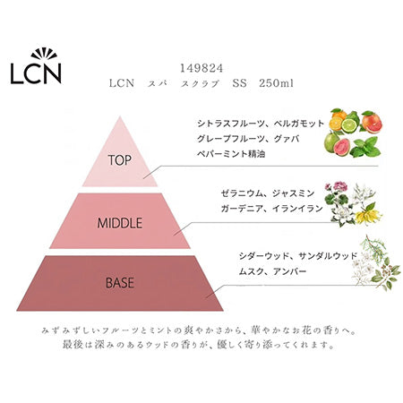 LCN スパ スクラブ SS